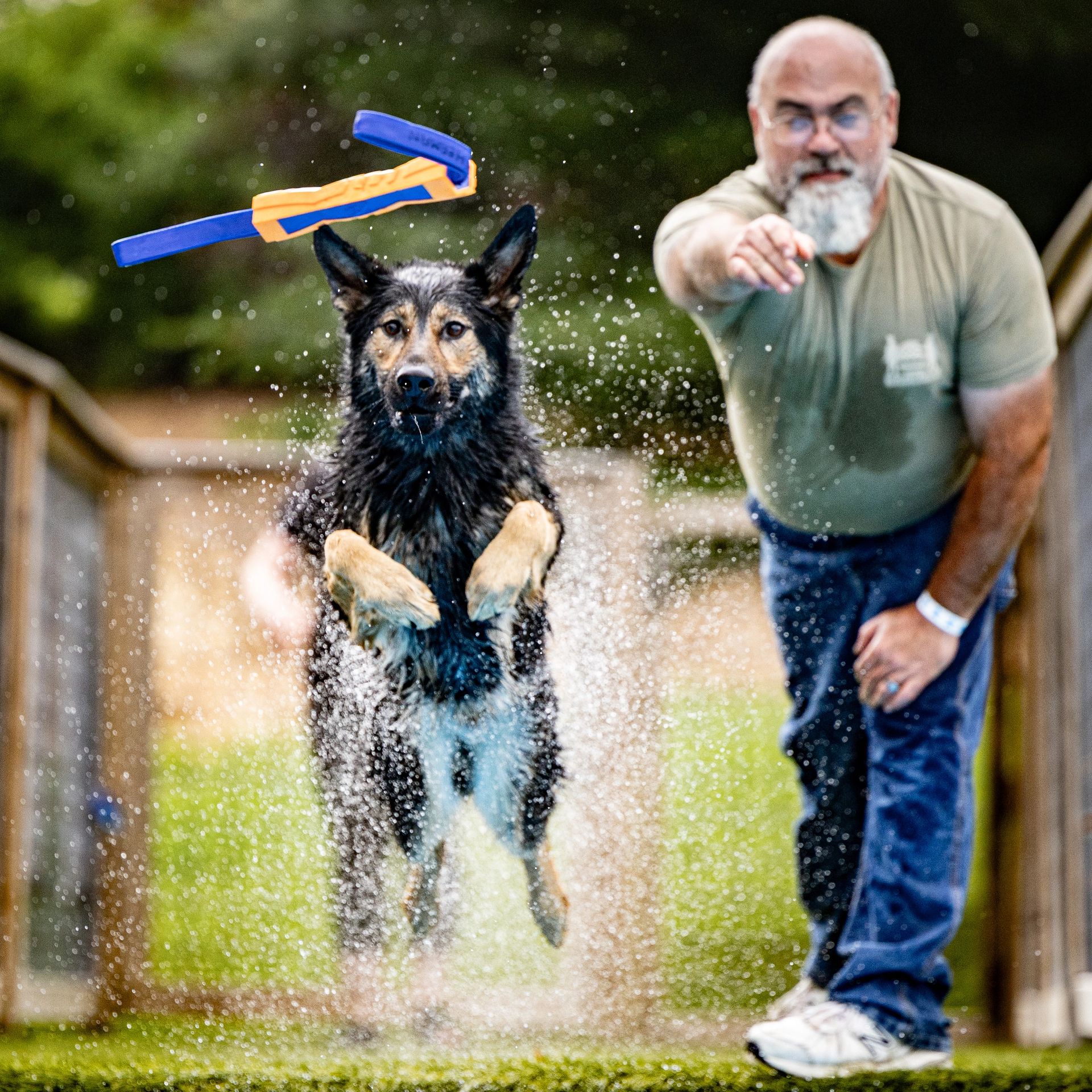 Dock diving action photography at Splash Town Warwick